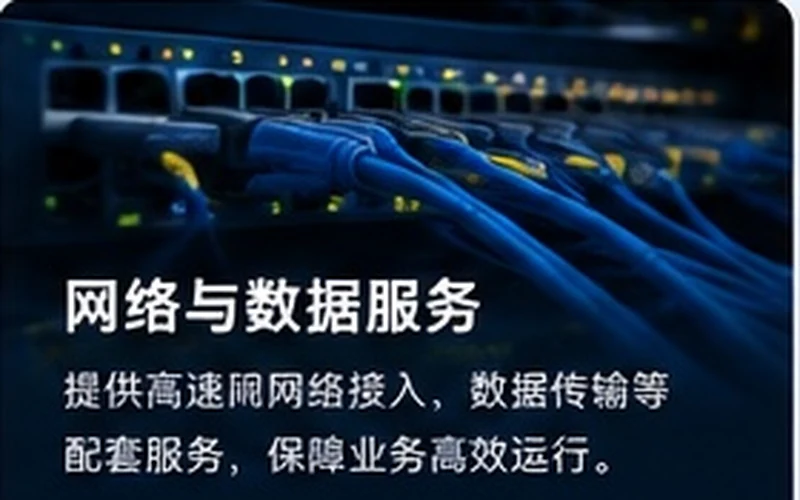 网络与数据服务